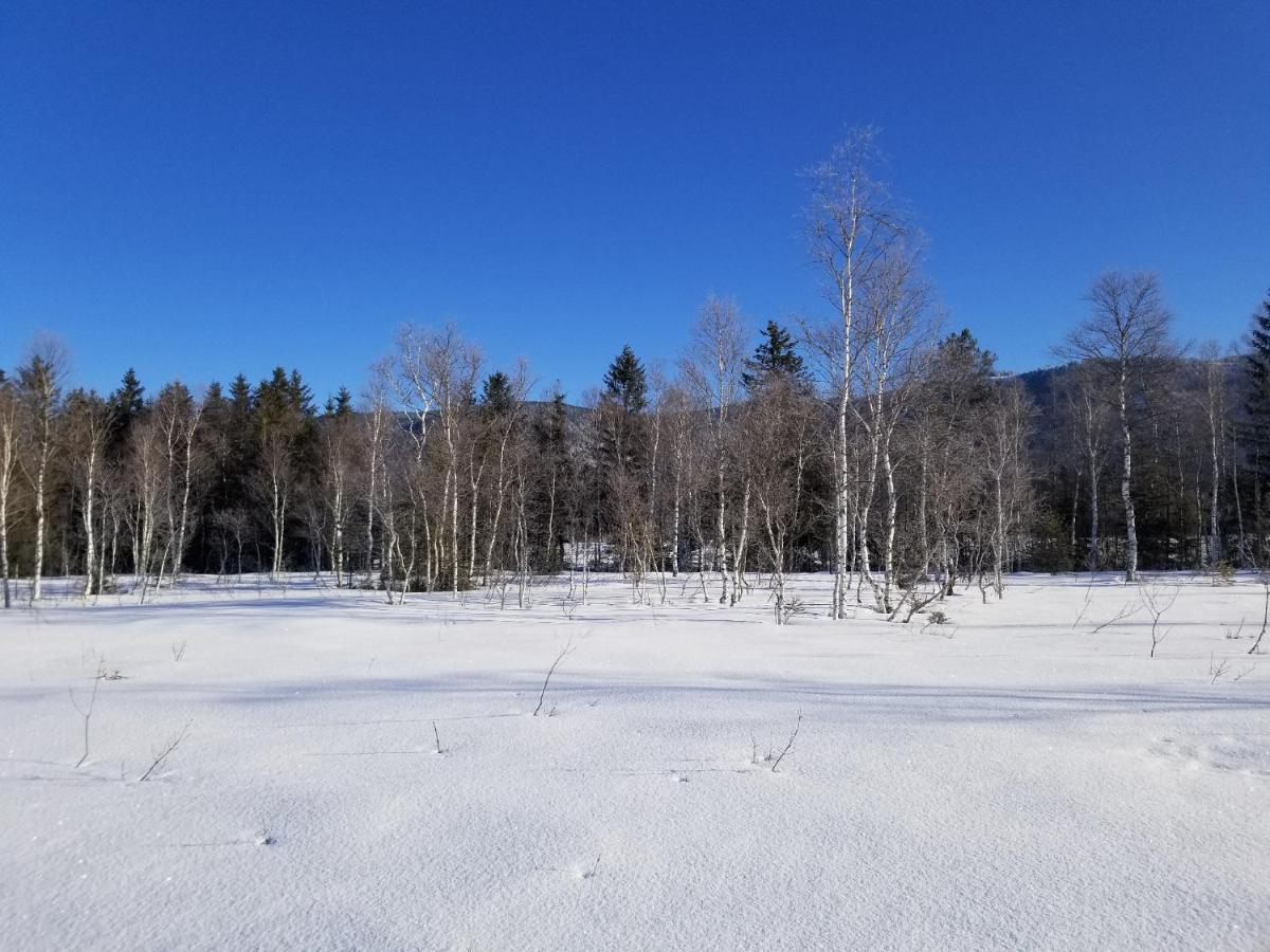 インツェルZirbenstueberl - Chiemgau Karteアパートメント エクステリア 写真